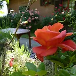 The Roses Garden Alojamento de Acomodação e Pequeno-almoço 3*