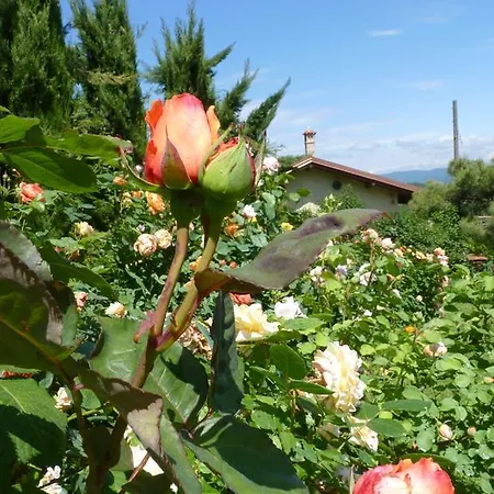 The Roses Garden Bed & Breakfast Millesimo