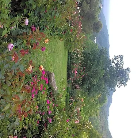 Bed and breakfast The Roses Garden