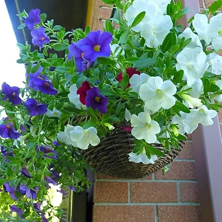 The Roses Garden Bed and breakfast Millesimo