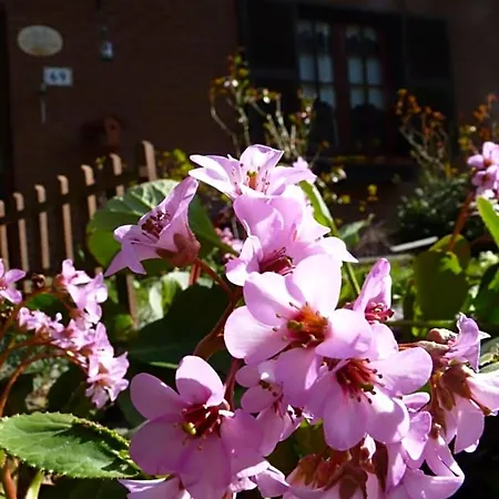 The Roses Garden 3*