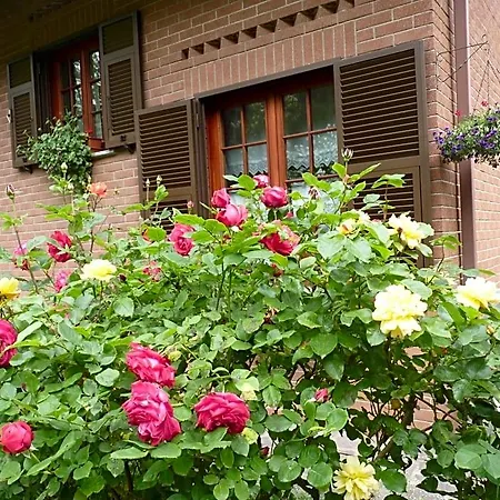 Bed and breakfast The Roses Garden