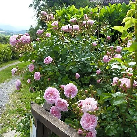 住宿加早餐酒店 玫瑰花园住宿加早餐旅馆 3*