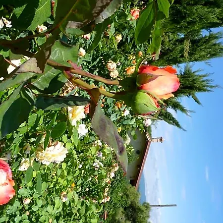 Bed and breakfast The Roses Garden Millesimo