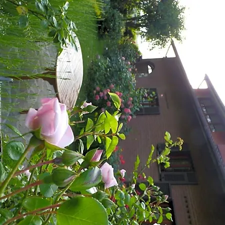 玫瑰花园住宿加早餐旅馆 3*