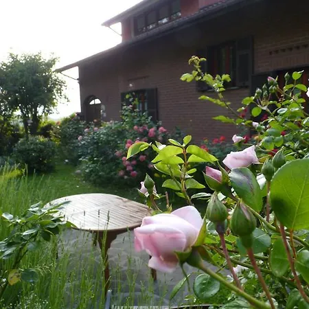 玫瑰花园住宿加早餐旅馆 3*