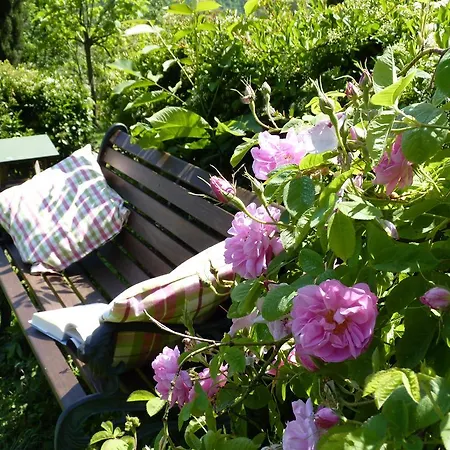 The Roses Garden Bed & Breakfast *