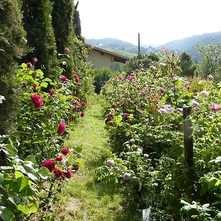 The Roses Garden * Millesimo