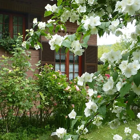 Bed & Breakfast The Roses Garden *