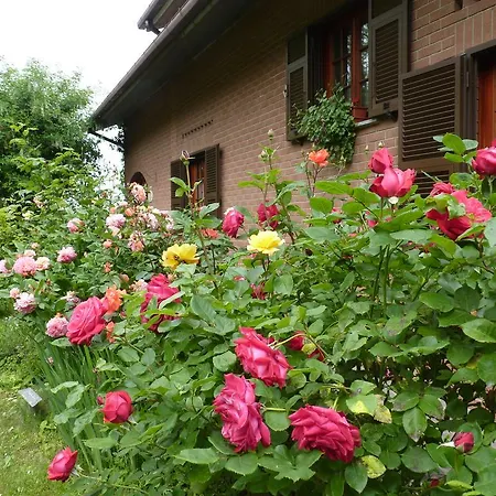 The Roses Garden