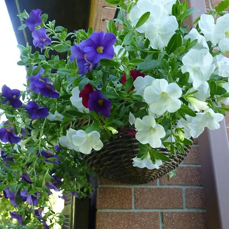 The Roses Garden Bed & Breakfast 3*