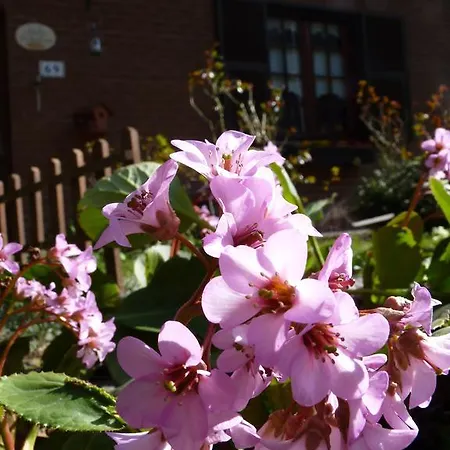 The Roses Garden Bed and breakfast Millesimo