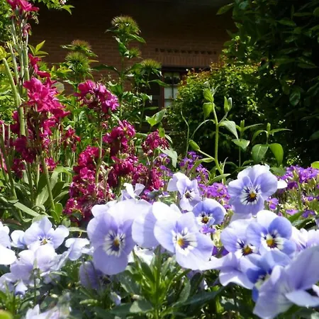The Roses Garden * Millesimo
