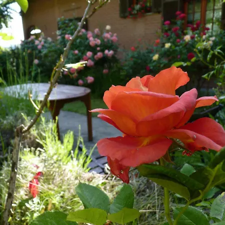 The Roses Garden Panzió 3*