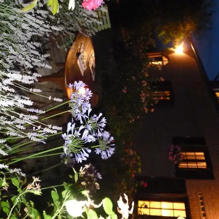 住宿加早餐酒店 玫瑰花园住宿加早餐旅馆 *