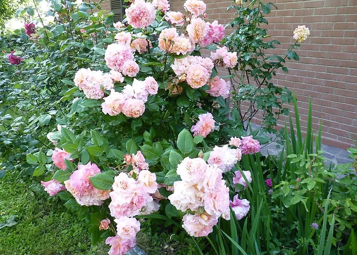 Bed and breakfast The Roses Garden 3*