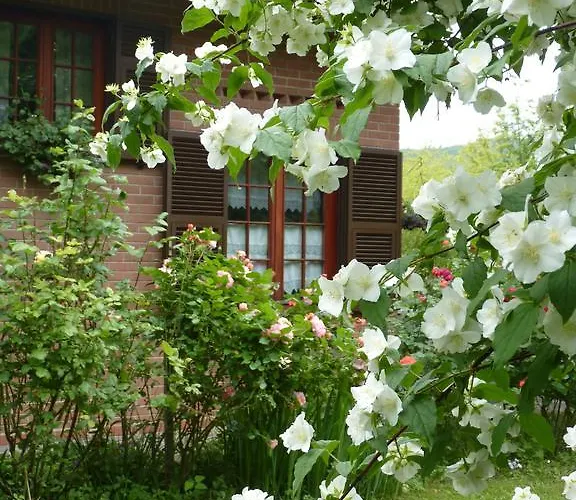 Bed and breakfast The Roses Garden 3*