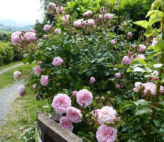 The Roses Garden Millesimo