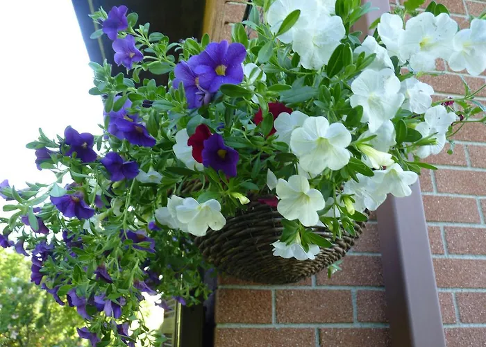 The Roses Garden Bed and breakfast 3*