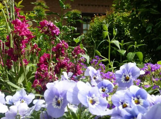 The Roses Garden 3* Millesimo