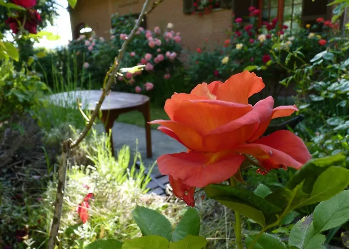 The Roses Garden Bed and breakfast 3*