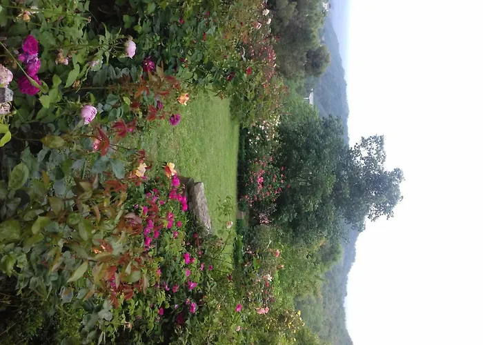 The Roses Garden Bed and breakfast Millesimo